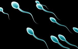 تخفیف-اسپرم-تقویت اسپرم-راه های تقویت اسپرم-مردان-مرد-ناباروری-باروری-تاثیرموادغذایی بر اسپرم-مامانا کلاب-باشگاه مادر وکودک-راه های تقویت اسپرم در مردان